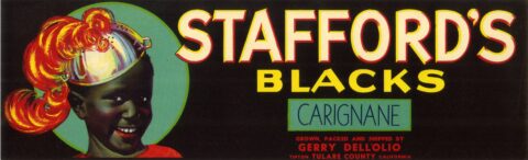 Stafford s Blacks